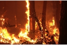 Cháy rừng lan rộng 2 huyện ở Nghệ An, gần 1.000 người được huy động chữa cháy