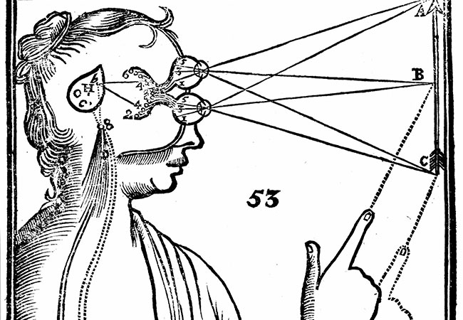 Nghiên cứu khoa học về ‘Con mắt thứ ba’ – Phần 2: Con mắt thoái hóa trong bộ não người