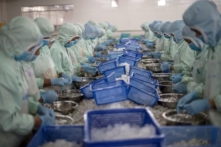 GDP quý 2 tăng thấp nhất trong hai thập niên: Nông nghiệp là cứu cánh, nền kinh tế có dấu hiệu khởi sắc dù chưa bền vững