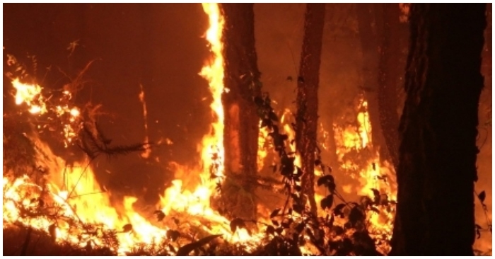 Cháy rừng lan rộng 2 huyện ở Nghệ An, gần 1.000 người được huy động chữa cháy