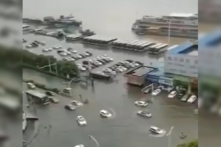 Mặt sông Dương Tử đã dâng lên ngang với mặt đường, không cách nào phân rõ đâu là sông, đâu là đường!