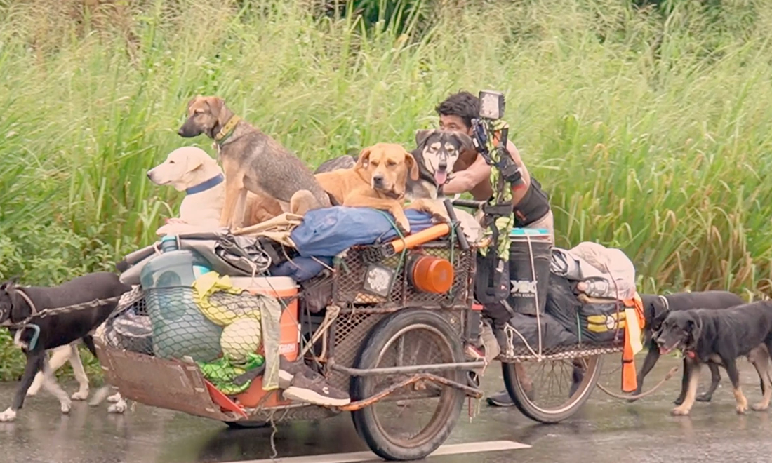Người đàn ông đi bộ 13.000 km để cưu mang các chú chó bên đường Mexico