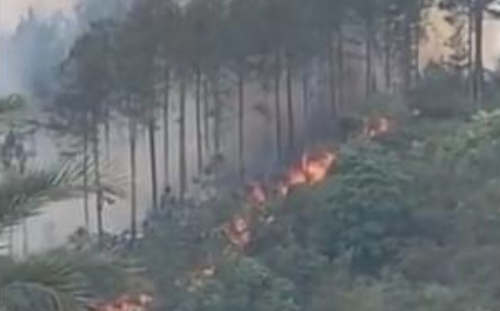 Nghiên cứu phát hiện khói do cháy rừng có thể làm triệu chứng viêm phổi Vũ Hán trở nặng