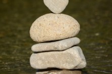 ‘Sức mạnh của sinh mệnh là dựa vào chính bản thân mình’