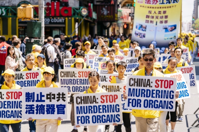 Fox News: WHO ca ngợi ngành công nghiệp ghép tạng của Trung Quốc trong lúc thế giới lên án