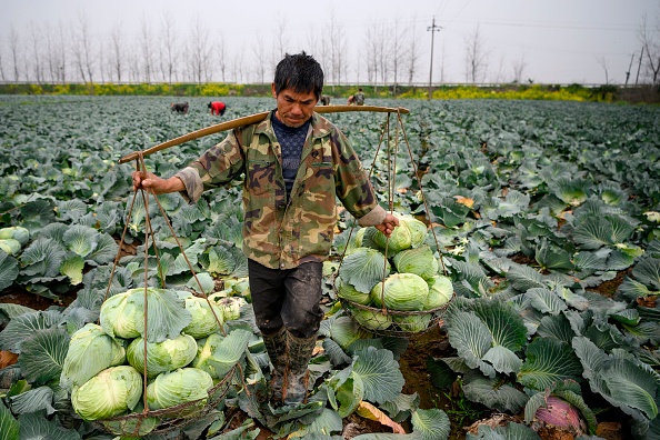 Jack Ma tái xuất và tham vọng nông nghiệp của Trung Quốc