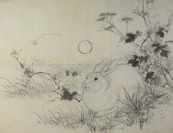 "Thỏ", tranh của Taki Katei hoặc Ishibashi Kazunori. Giấy và mực; 42.2 x 53.3cm. (Ảnh Keith Sweeney / Bảo Tàng Quốc Gia Liverpool)