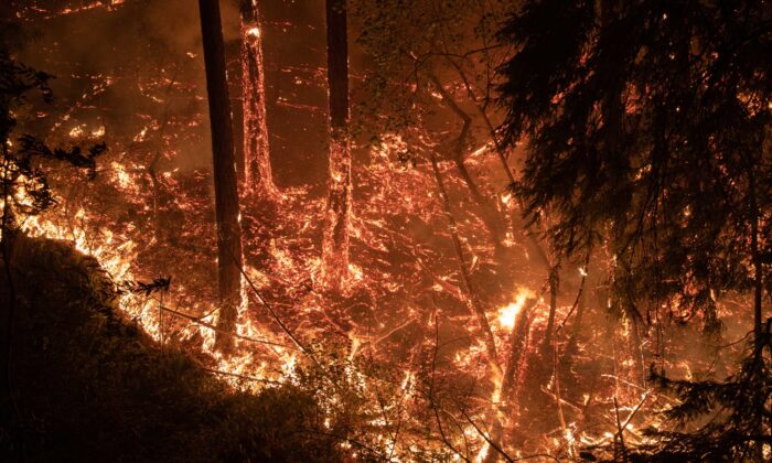 Hơn 70.000 người Mỹ tháo chạy vì cháy rừng dữ dội ở California