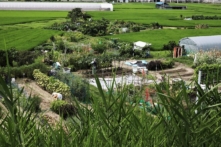 Nhật Bản muốn phát 9.500 USD cho dân rời Tokyo về quê sinh sống