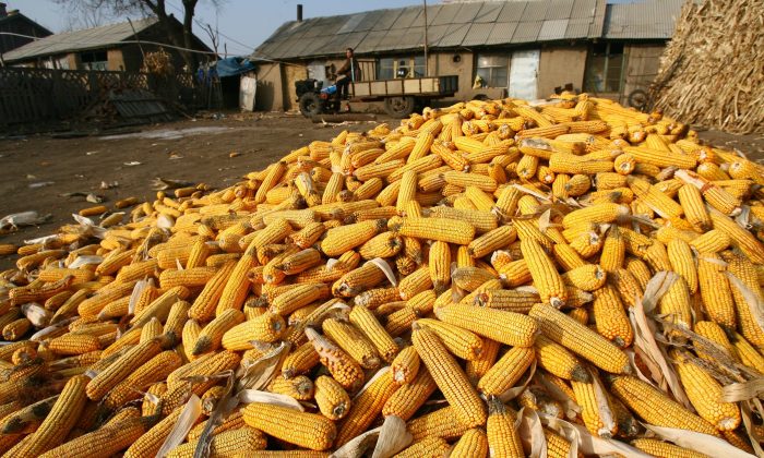 Trung Quốc lo ngại về tình trạng thiếu lương thực