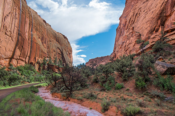 Dấu chân hóa thạch hơn 300 triệu năm trước được tìm thấy ở Grand Canyon