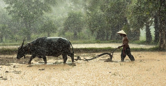 Chỉ cần hiểu được ý nghĩa của sinh mệnh, thì đã sống không uổng phí một đời này