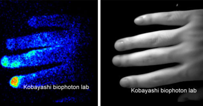 Giác quan thứ 6: Chúng ta đang giao tiếp bằng dải ánh sáng không nhìn thấy được? Phần 1 - Photon sinh học và DNA