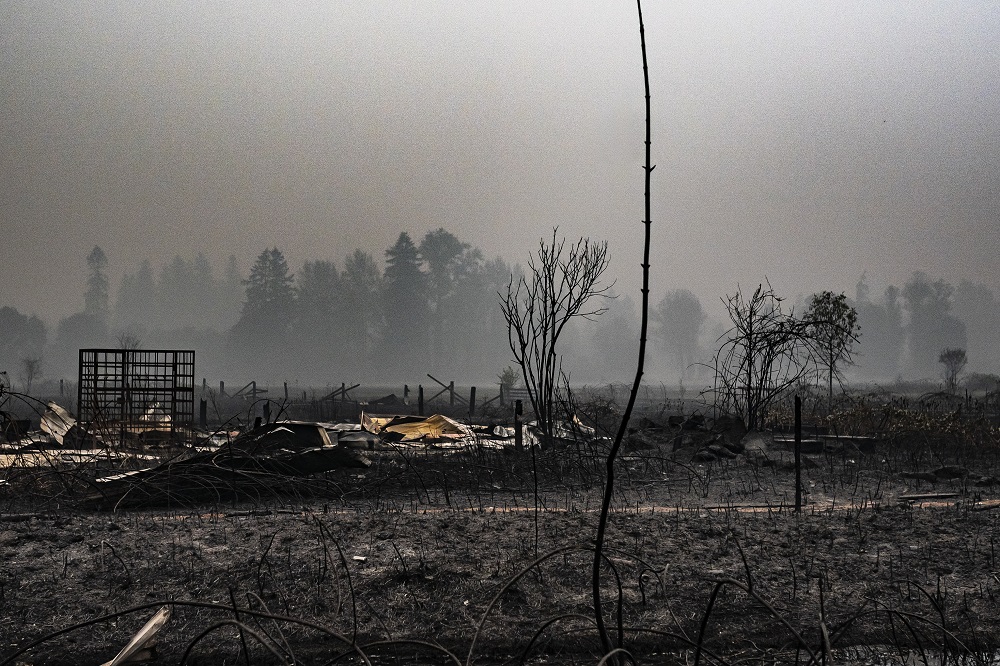 Một đốm lửa cháy âm ỉ gần một bãi gỗ ở Molalla, Ore., Chụp ngày 10 tháng 9 năm 2020. (Ảnh Nathan Howard / Getty Images)