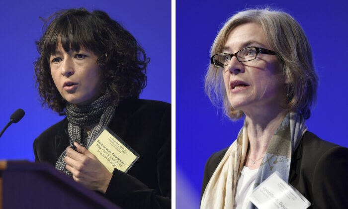 Emmanuelle Charpentier (trái) và Jennifer Doudna, cả hai đều phát biểu tại hội nghị thượng đỉnh quốc tế của Học viện Khoa học Quốc gia về sự an toàn và đạo đức của việc chỉnh sửa gen người, ở Washington, vào ngày 1 tháng 12 năm 2015. (Ảnh Susan Walsh /AP)