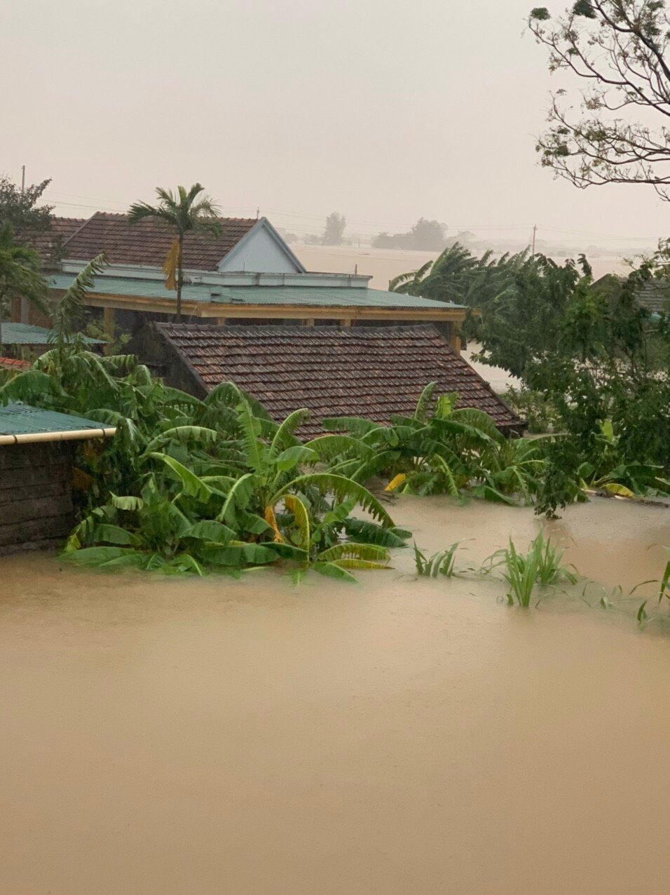 Nước đã rút, tuy nhiên toàn tỉnh còn 1.049 hộ dân bị ngập lụt. Ảnh chụp tại Quảng Trạch, Quảng Bình. (Ảnh được cung cấp cho Etviet)
