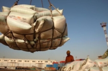 Bất chấp căng thẳng leo thang, nông sản Mỹ xuất đi Trung Quốc tăng mạnh