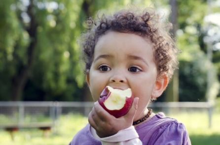 Tại sao bạn nên ăn 2 quả táo mỗi ngày?