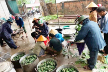 Người dân kêu đói trong biển lũ, đồng bào trắng đêm gói bánh chưng cứu trợ