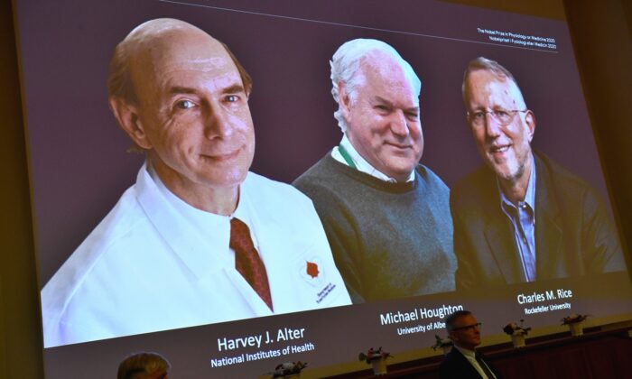 Ba nhà khoa học đoạt giải Nobel Sinh lý học hoặc Y học năm 2020 được công bố trong một cuộc họp báo tại Viện Karolinska ở Stockholm, Thụy Điển, vào ngày 5 tháng 10 năm 2020 (Ảnh Claudio Bresciani / TT qua AP)