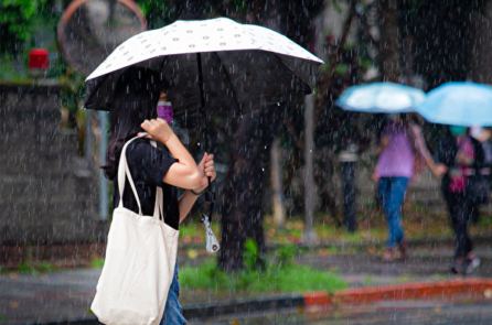 Máy sấy tóc và món ăn từ Ý dĩ giúp cơ thể loại bỏ khí ẩm khi trời mưa