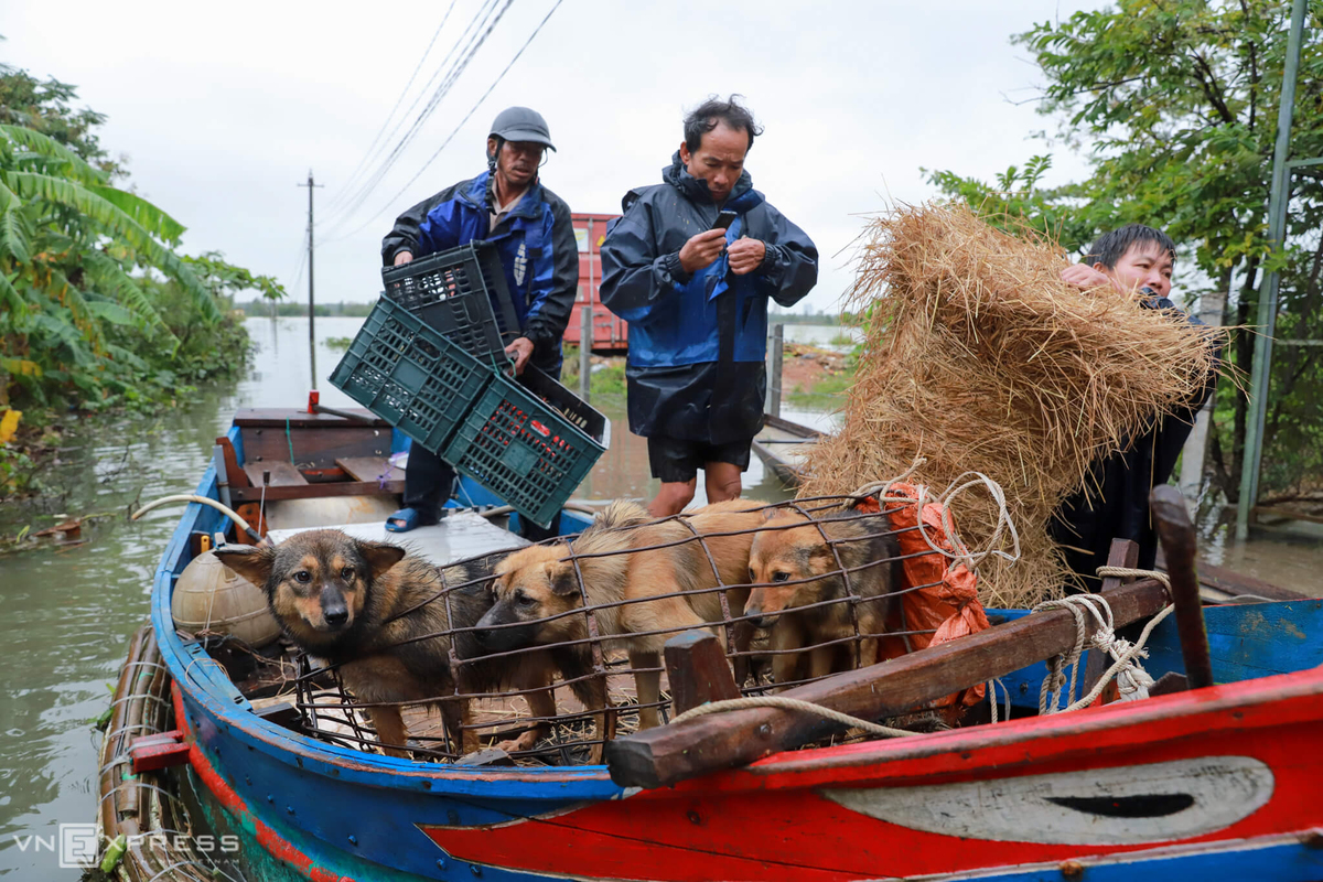 Người miền Trung vớt vát tài sản chạy lũ