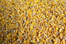 Trung Quốc mua hàng hóa nông nghiệp của Hoa Kỳ đạt 71% mục tiêu theo thỏa thuận thương mại