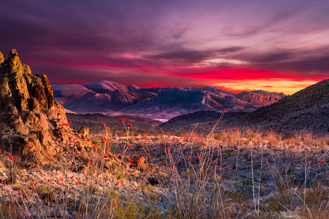 Hoàng hôn ở Công viên Quốc gia Big Bend. (Ảnh Dean Fikar / Shutterstock)