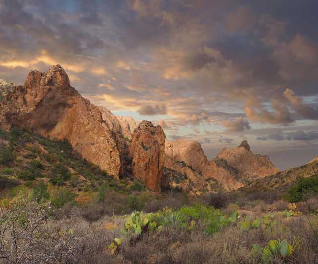 Lưu vực Chisos. (Ảnh Steve Bower / Shutterstock)