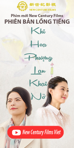 Khi Hoa Phượng Lan Khai Nở