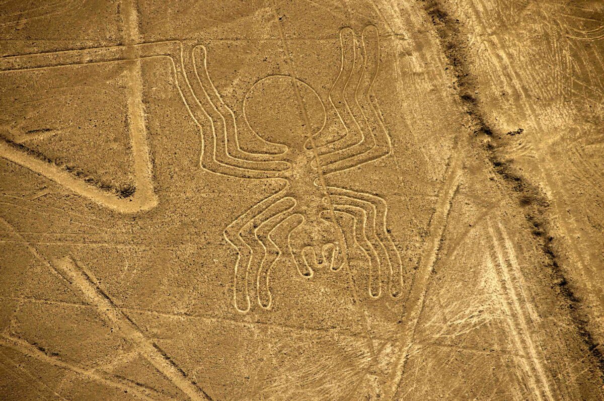 Tìm thấy hình vẽ ‘chú mèo thư giãn’ khổng lồ 2,000 năm tuổi