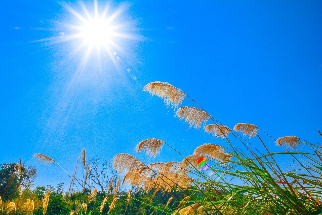 Ánh nắng mặt trời là nguồn cung cấp vitamin D tốt nhất cho cơ thể. (Ảnh Zxzx0809449 / Pixabay)