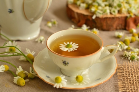 Thải  độc cho  cơ  thể  bằng  trà  hoa  cúc