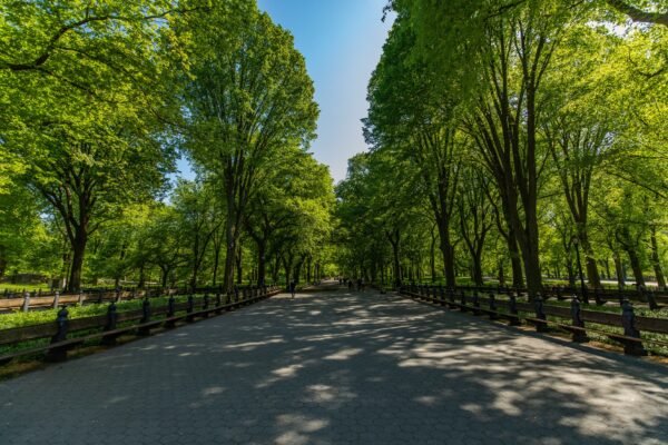 công viên Central Park ở New York