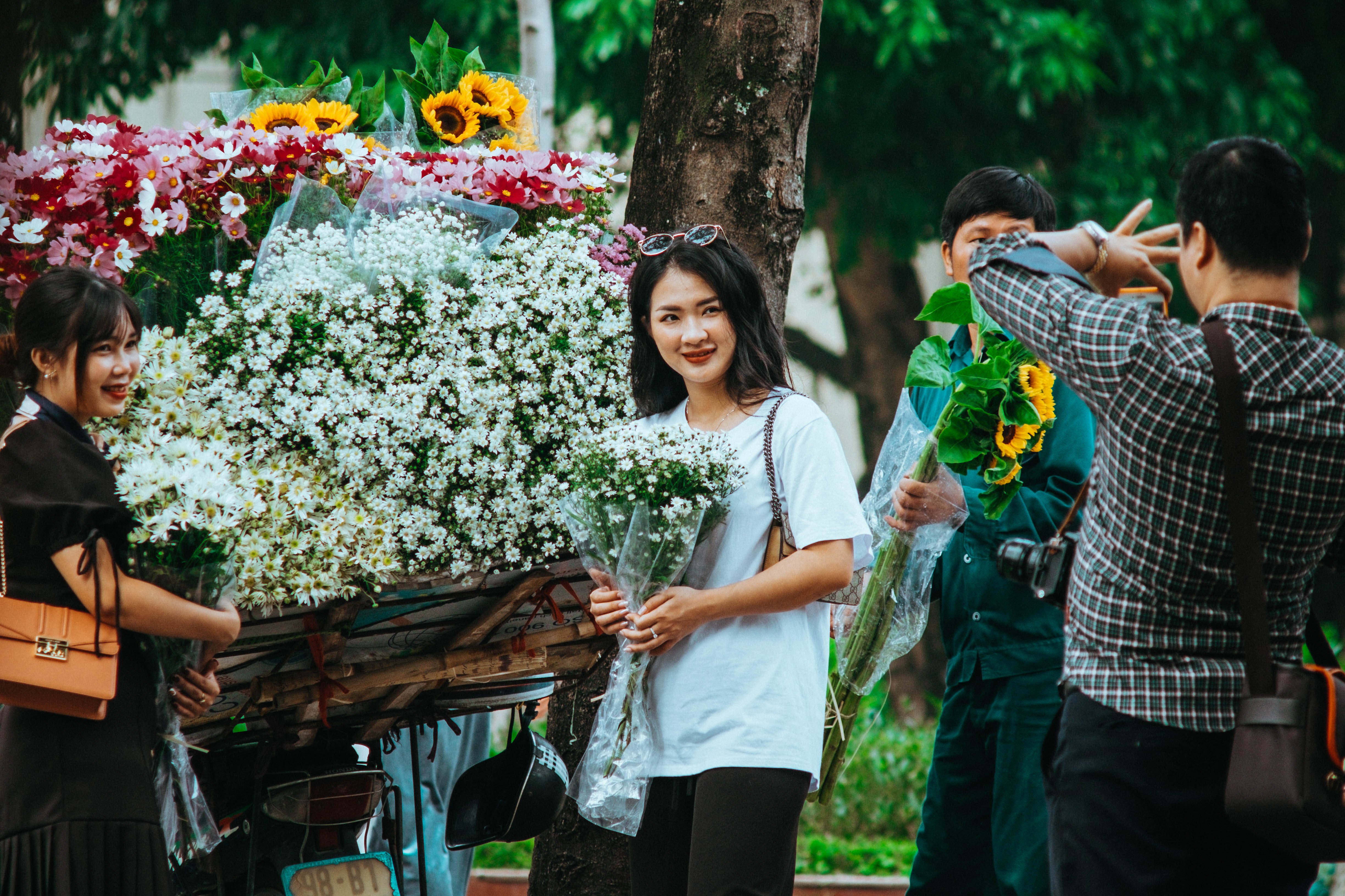 Những mùa hoa trong phố