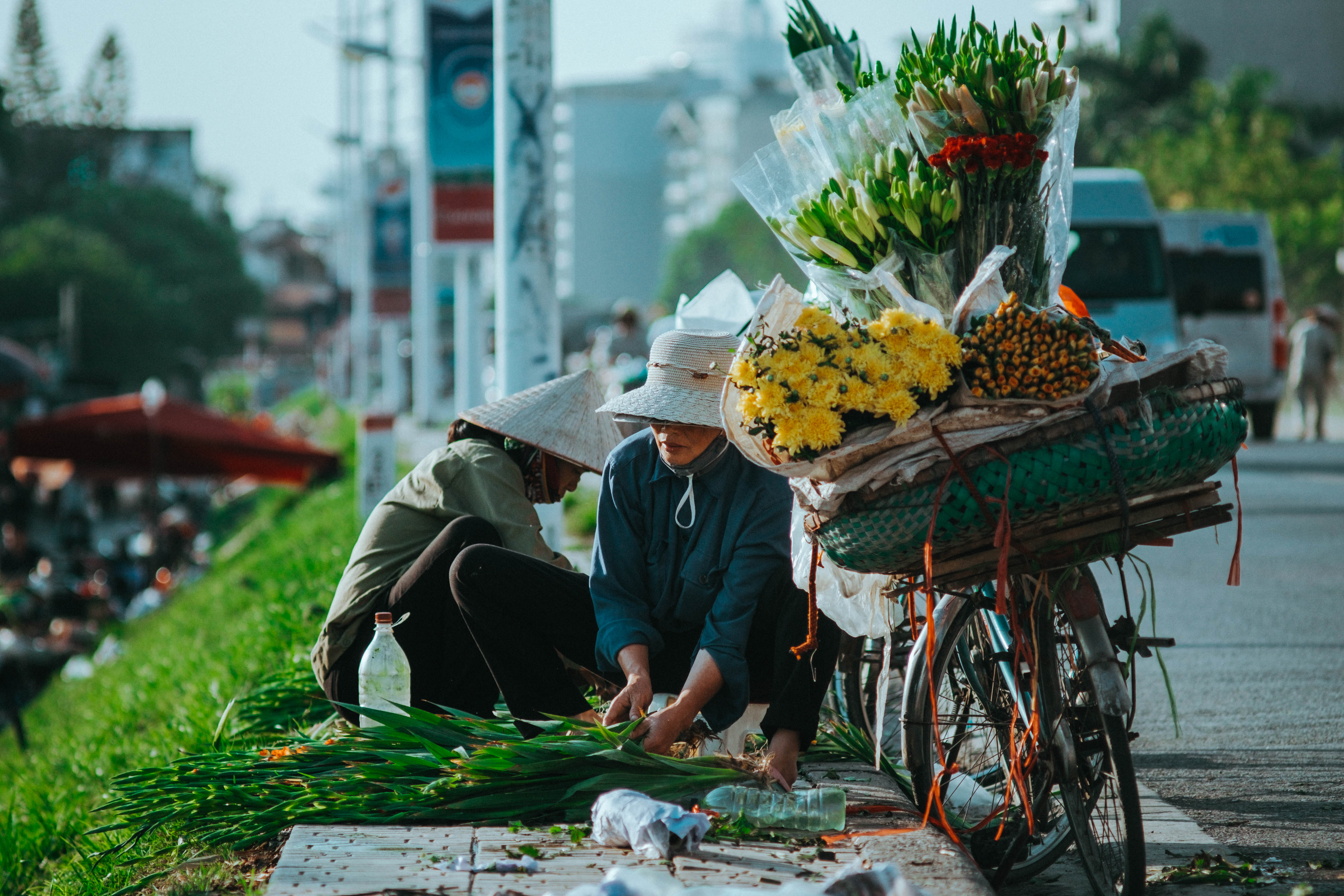  mùa hoa trong thành phố