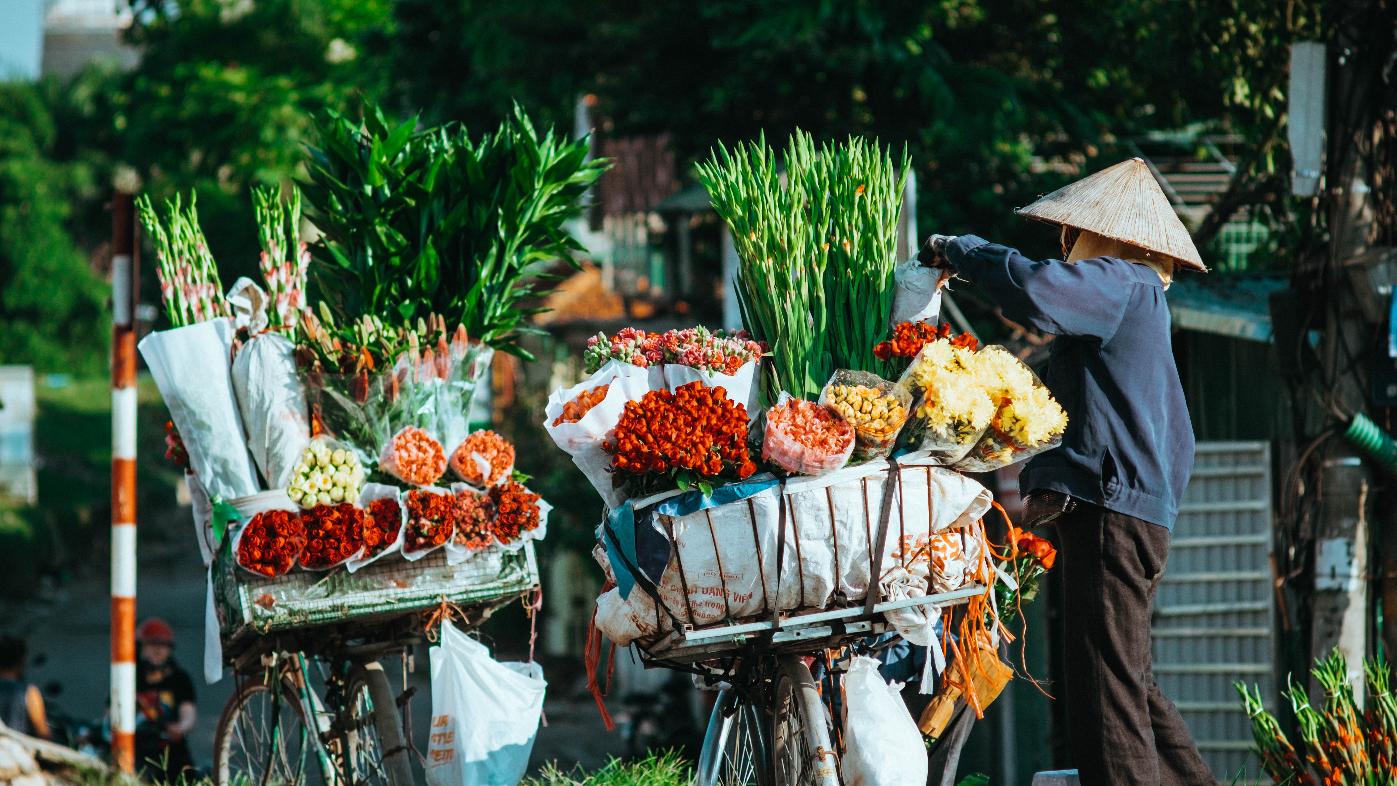 Những mùa hoa trên phố