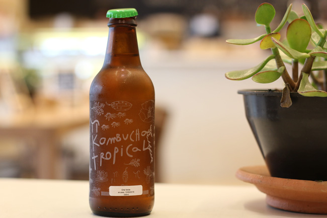  Kombucha chống lão hóa