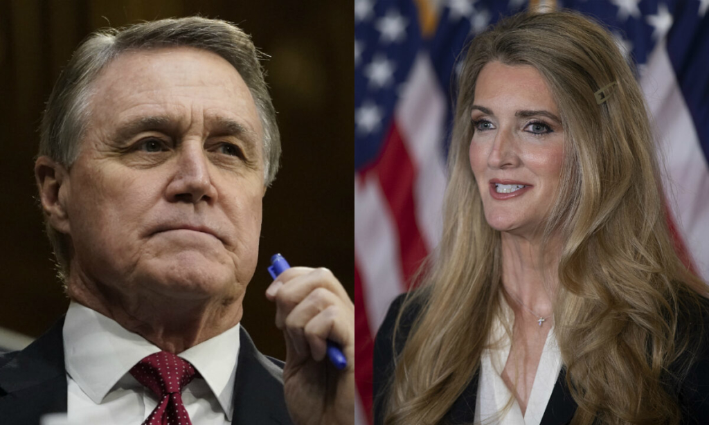Các Thượng nghị sĩ David Perdue Đảng Cộng Hòa muốn kiểm soát thượng viện