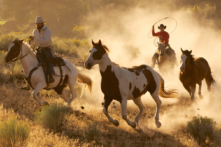 Các bà mẹ, đừng để chàng cao bồi của bạn lớn lên vẫn là những em bé