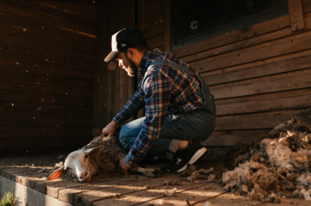 Người Mỹ không phô trương giàu có, người Trung Quốc ngưỡng mộ sự xa hoa