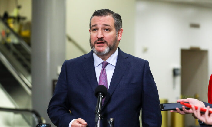 Ted Cruz nói sẽ truy tố gian lận cử tri