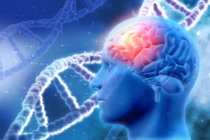 DNA: Một thông điệp Thần Thánh