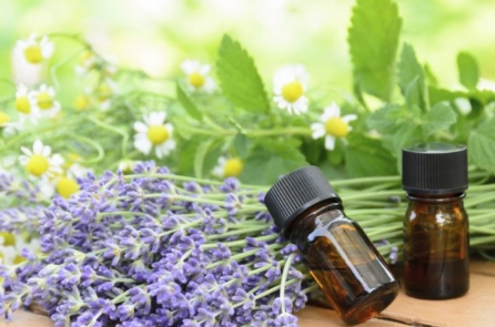 Những loại tinh dầu tốt nhất hỗ trợ giảm căng thẳng