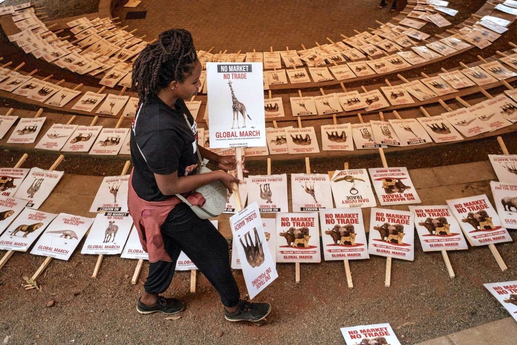 lễ Diễn hành Toàn cầu cho Voi, Tê giác, Sư tử và các loài động vật có nguy cơ tuyệt chủng khác (GMFER) tại Nairobi, Kenya 