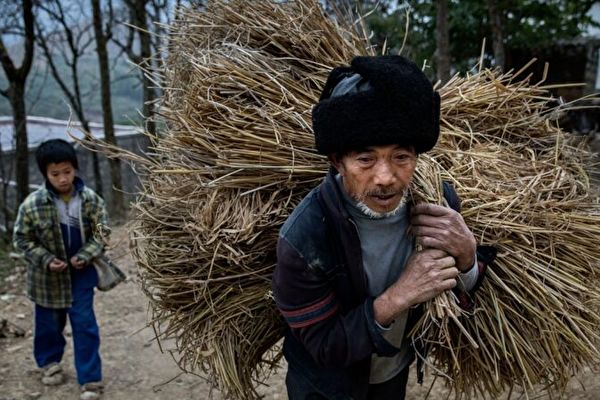 Thành viên Chính Hiệp Trung Cộng đề nghị sáp nhập huyện nhỏ, tiết lộ tỉ lệ quan dân 1:5