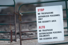 Đại dịch, phòng ngừa, và sự chắc chắn của việc đổ lỗi