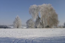 Trải nghiệm cận tử