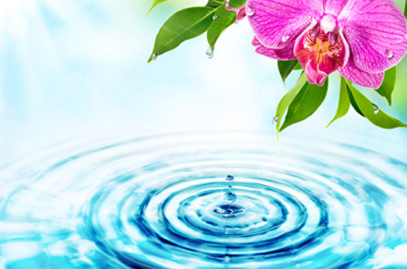 Ai có đủ tư cách để tự đại?