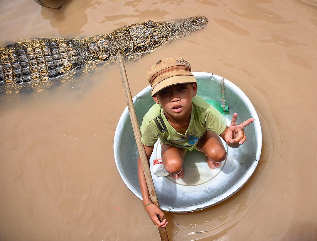 cá sấu